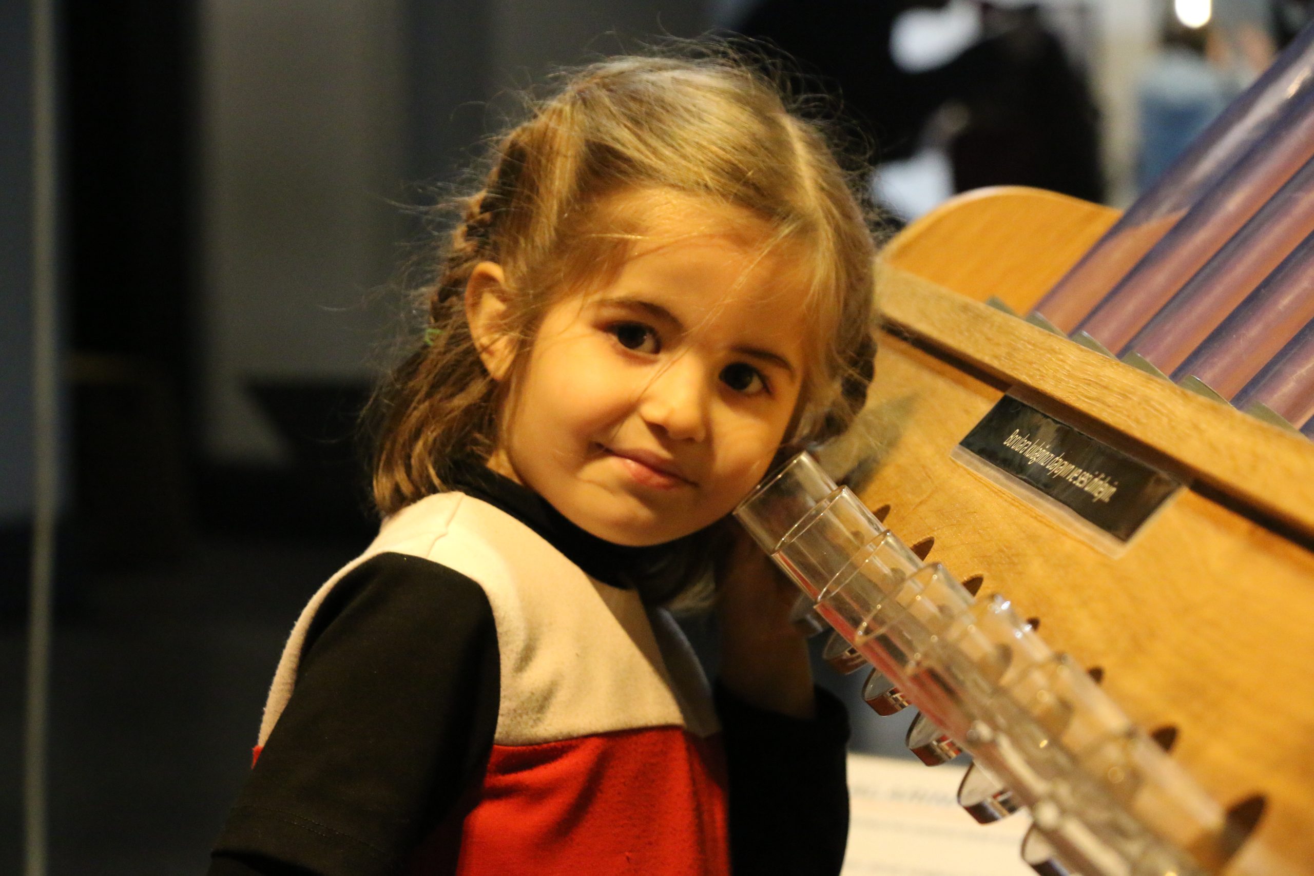 ALGI VE GERÇEKLİK GALERİSİ (2)