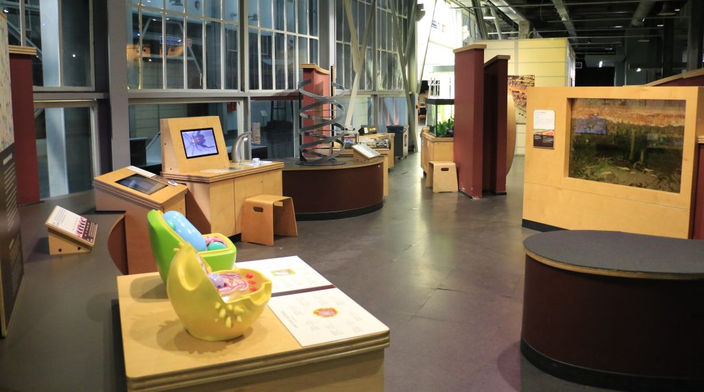 görsel 3 ( hazır )